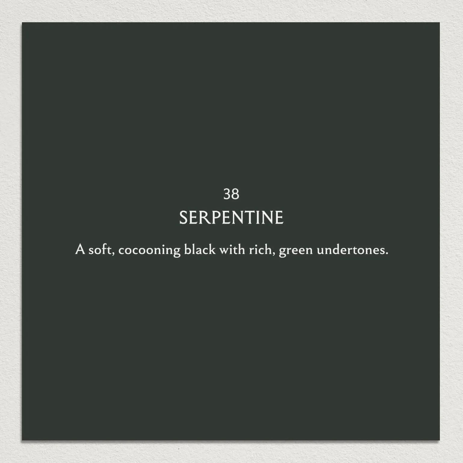 SERPENTINE Paint - 38