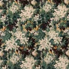 SILVA Carpet - Cerulean