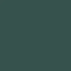SPRUCE Paint - 36