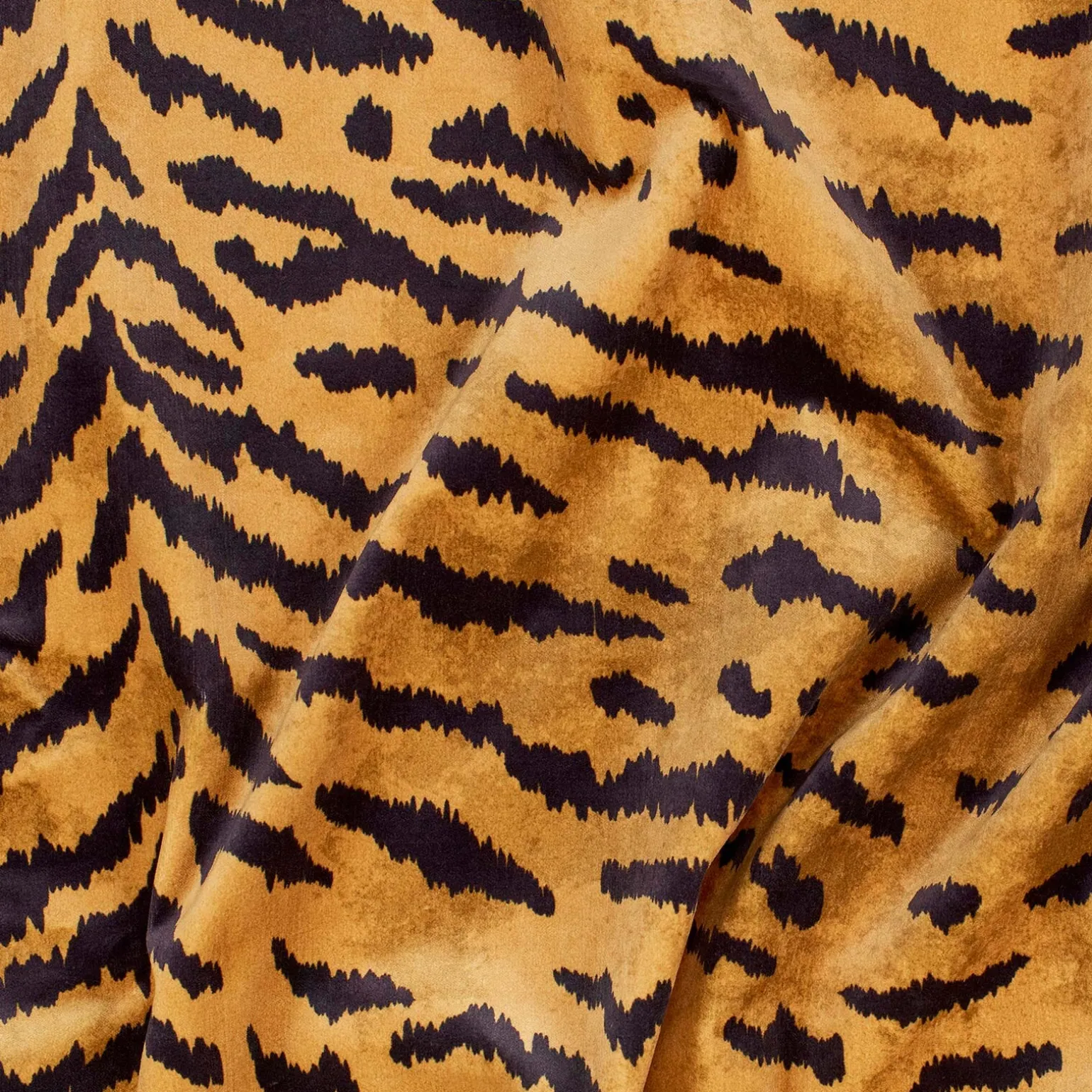 TIGRE Velvet - Taupe