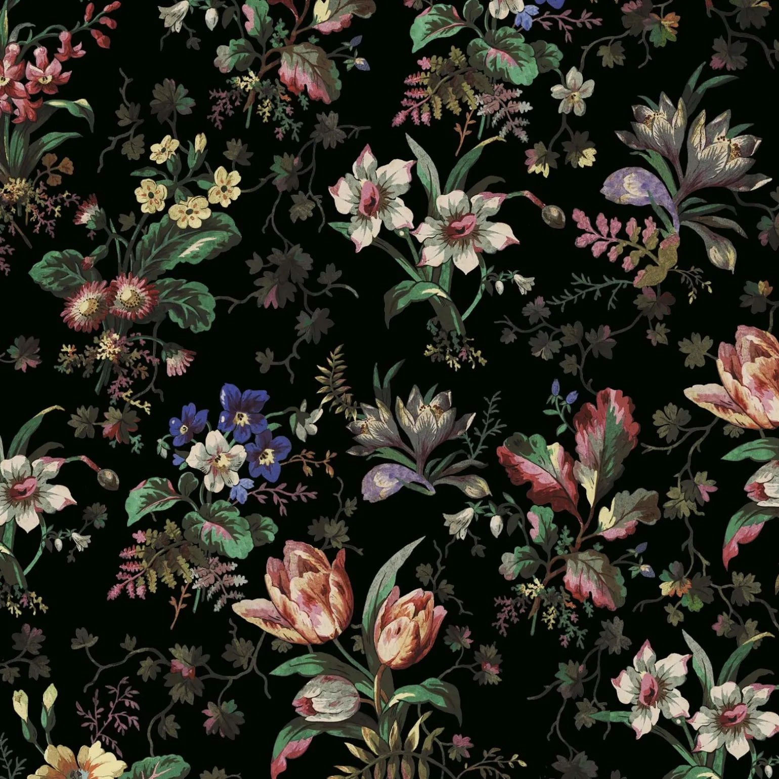TULIPA Wallpaper - Onyx