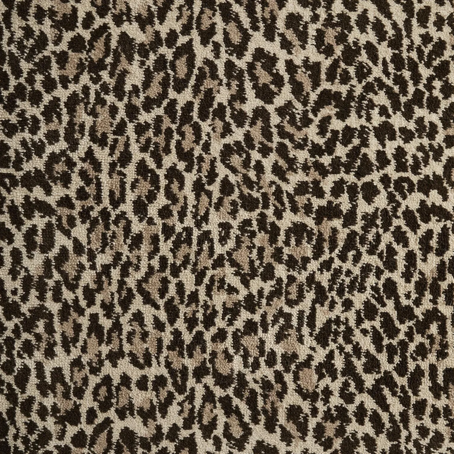 WILD CARD Carpet - Butterscotch